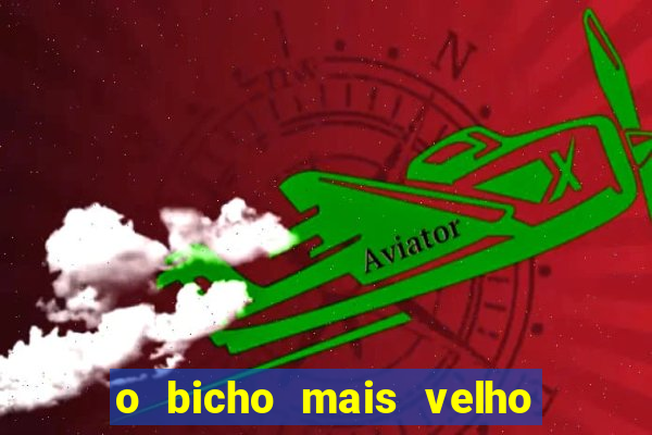 o bicho mais velho da loteria dos sonhos